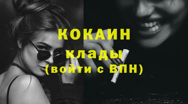 эйфоретик Арсеньев