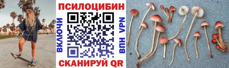 хочу наркоту  Шумиха  Псилоцибиновые грибы Psilocybe 
